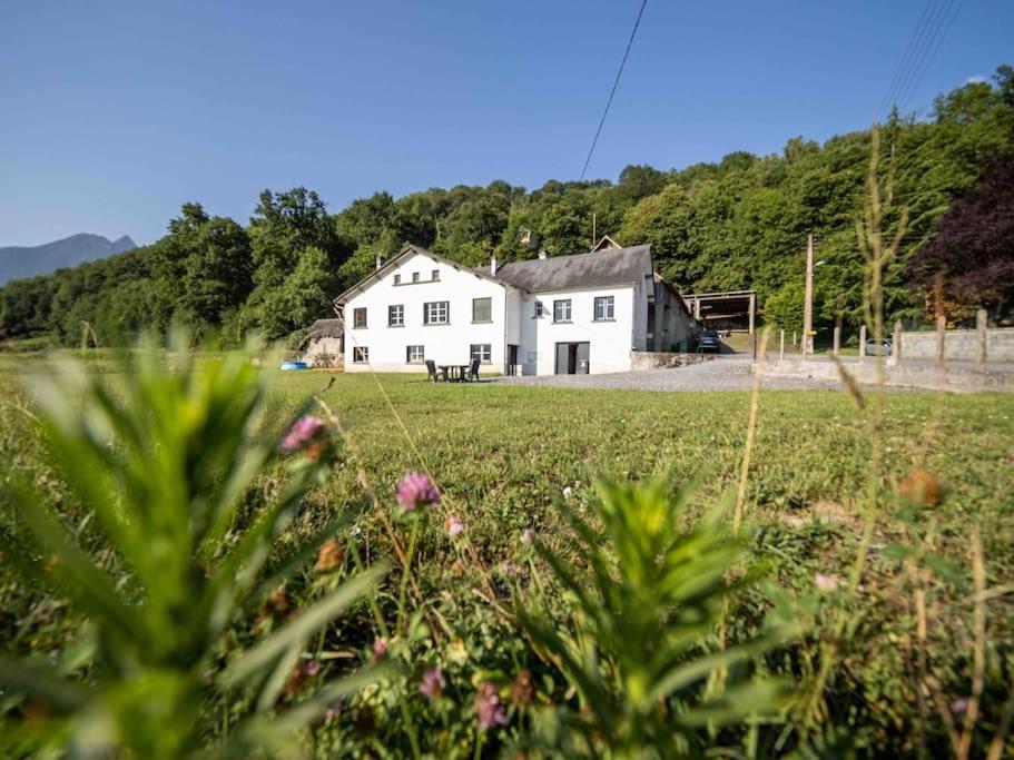 Au Coeur Des Pyrenees Bigourdane Apartamento Lau-Balagnas Exterior foto